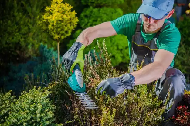 landscaping services Celina